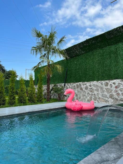 Shino Sapanca'Da Sicak Havuzlu Tatil Keyfi! Villa Esterno foto